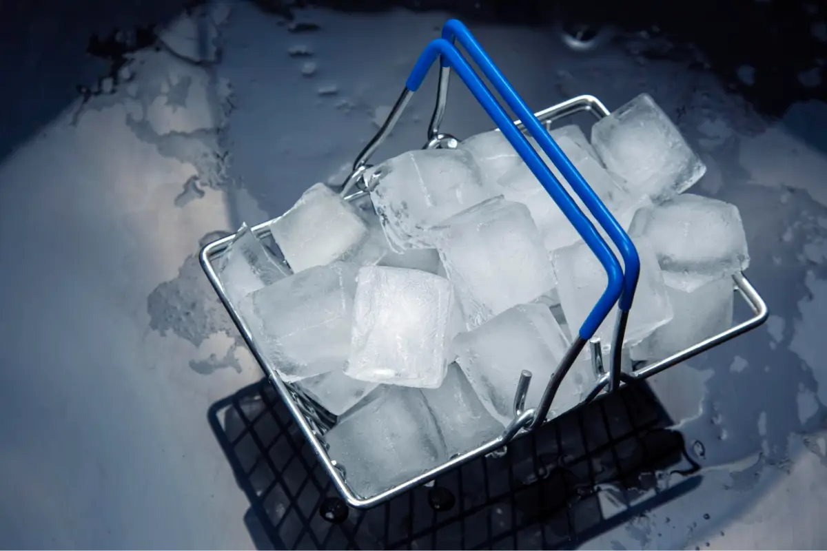 Ice Finances Management