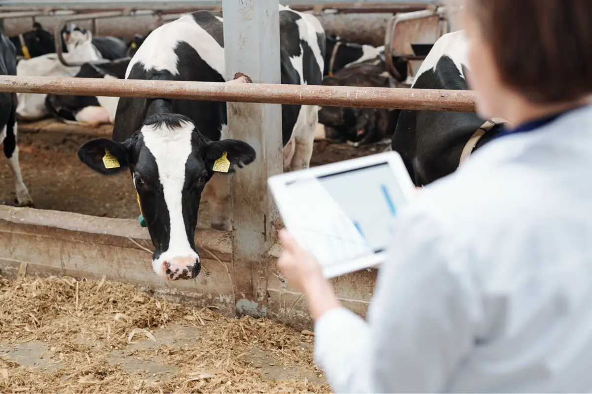 Milk Distribution Software