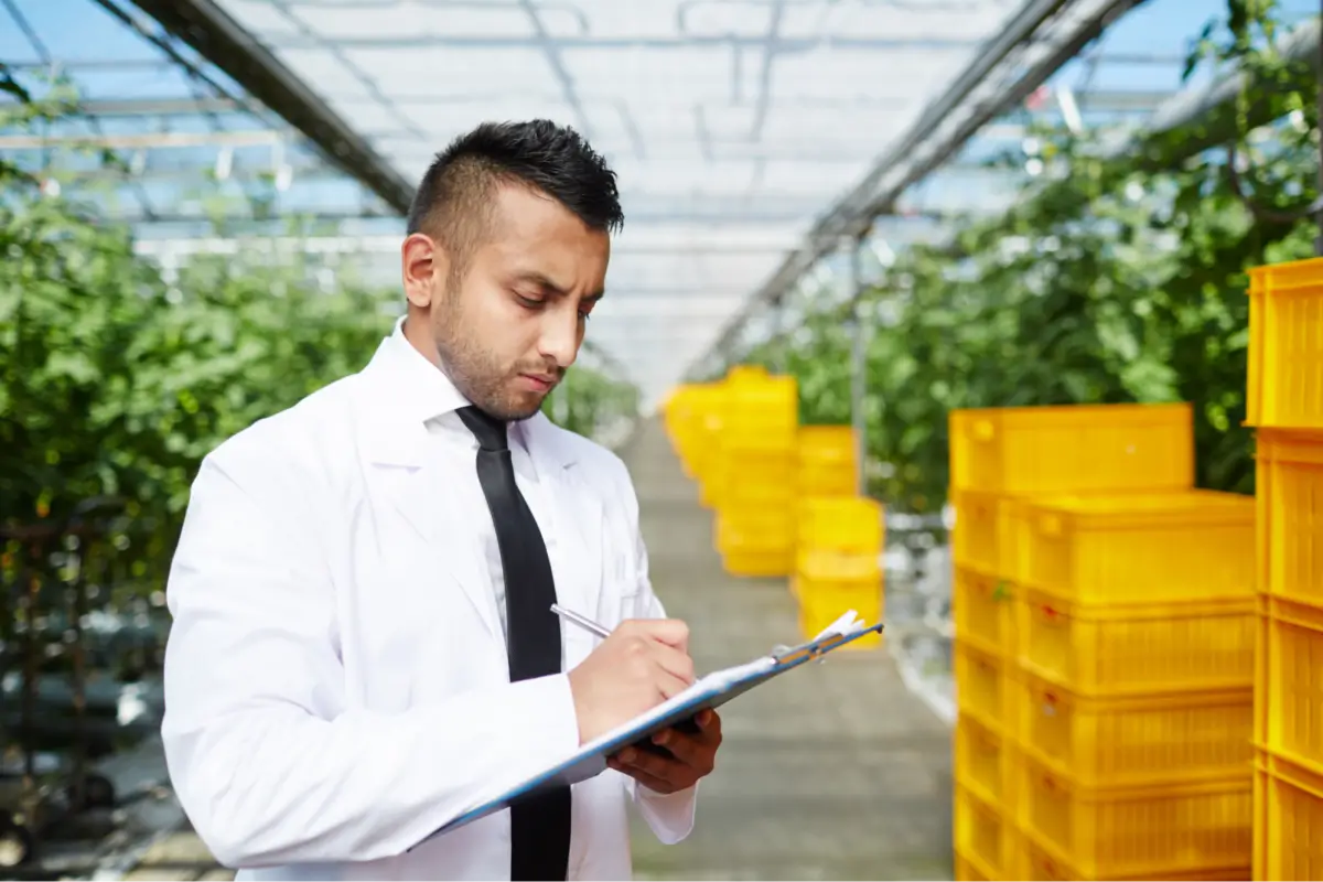 Fresh Produce Distribution Finances