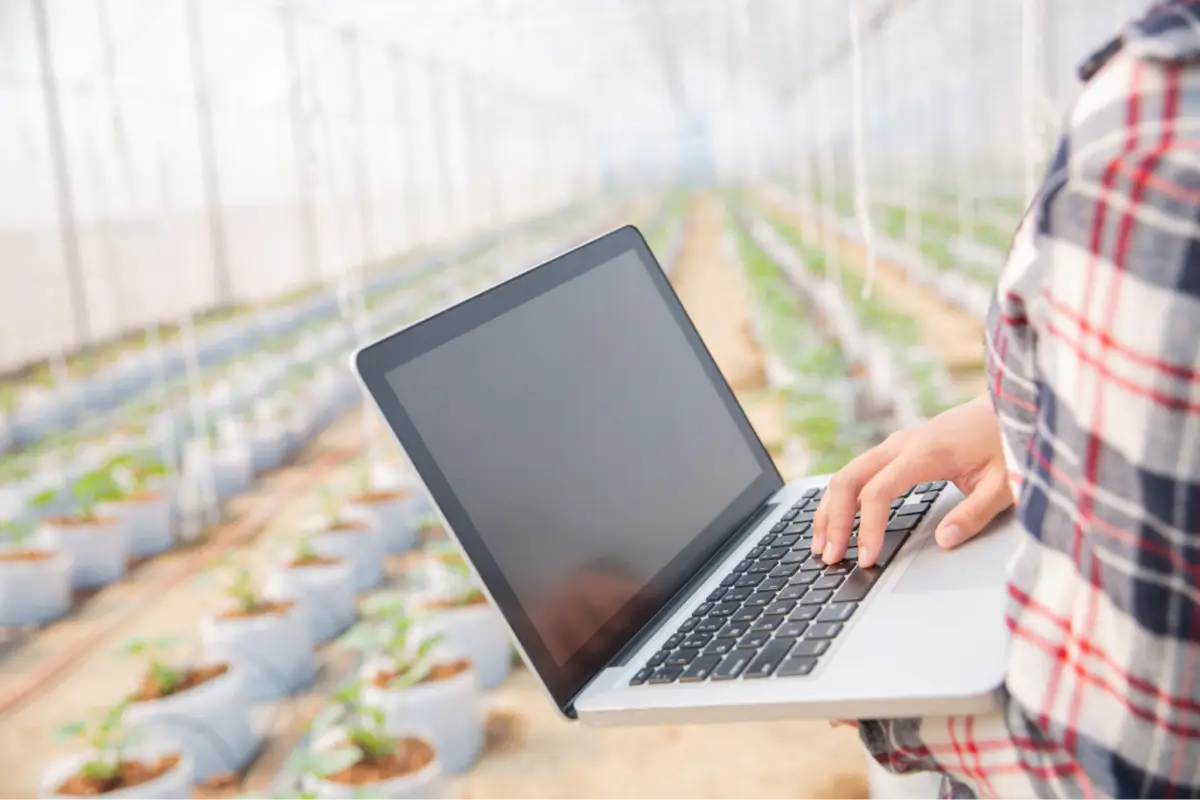 Fresh Produce Distribution Software