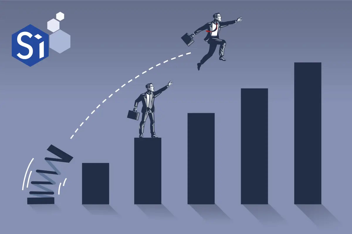 distribution management system software